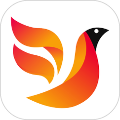 火鸟影视手机版