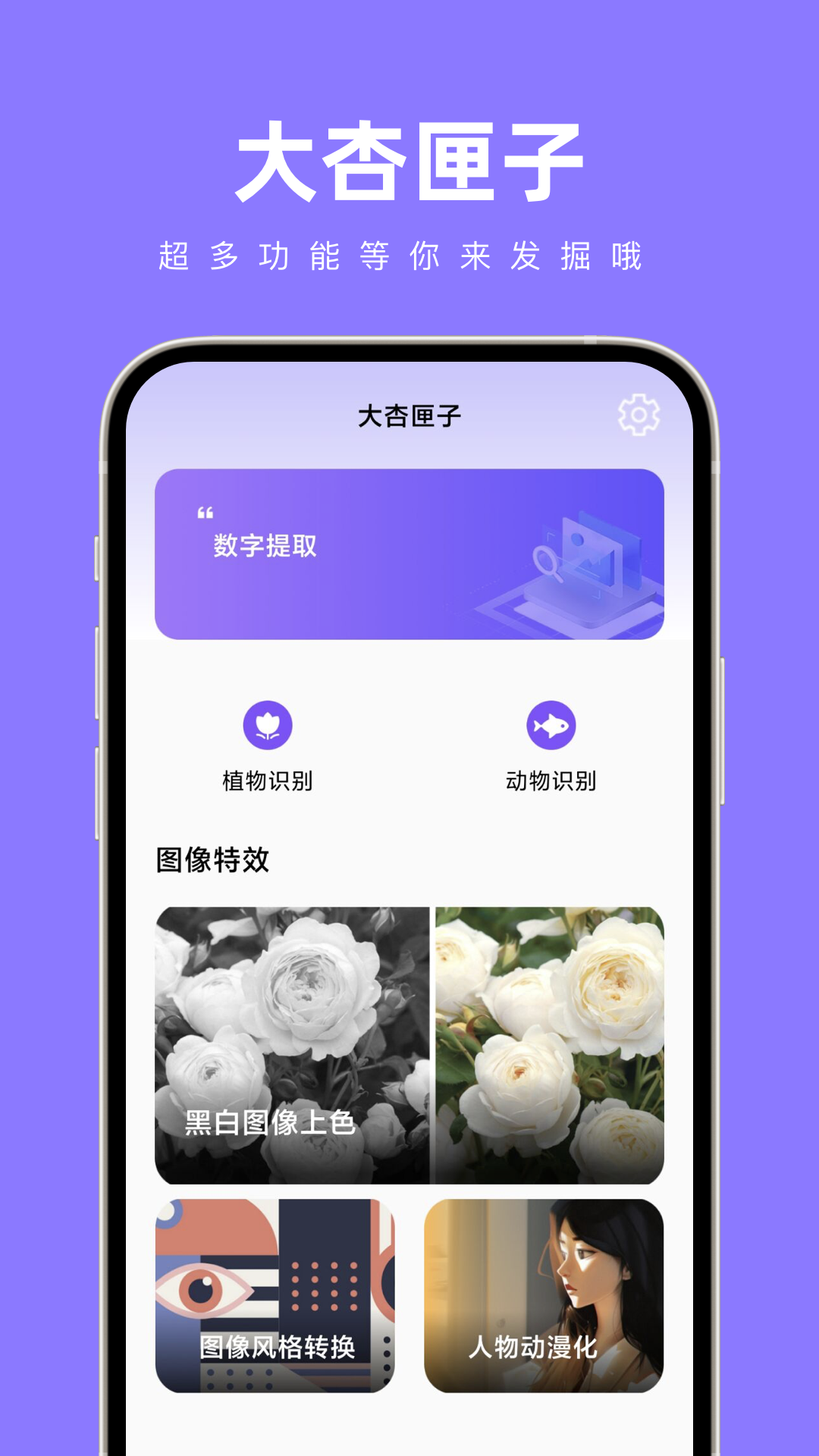 大杏匣子appv1.0.0